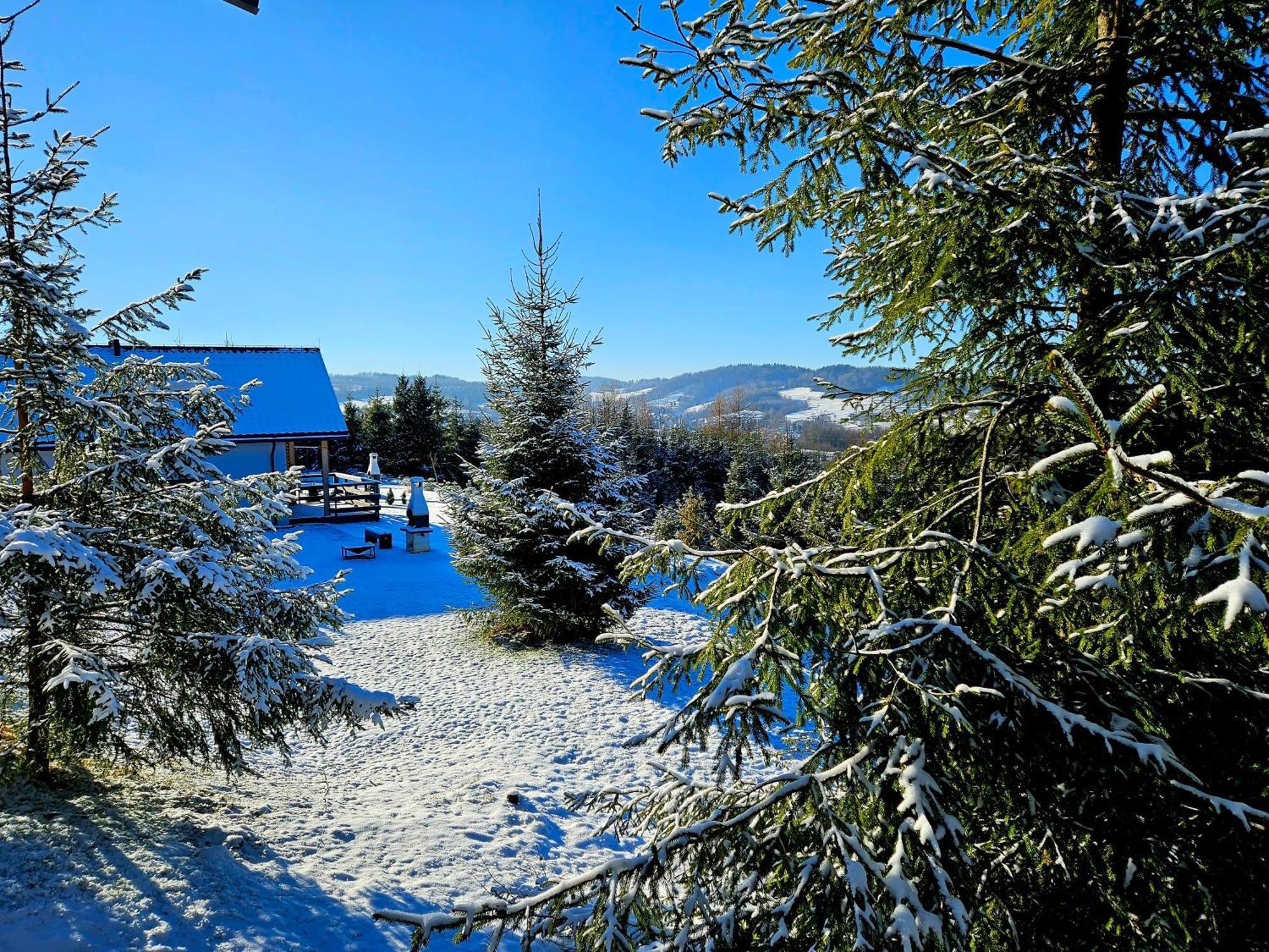 Bieszczadzka Pauza Villa Polańczyk Esterno foto