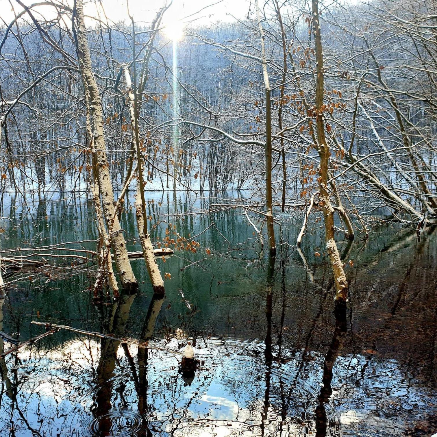 Bieszczadzka Pauza Villa Polańczyk Esterno foto