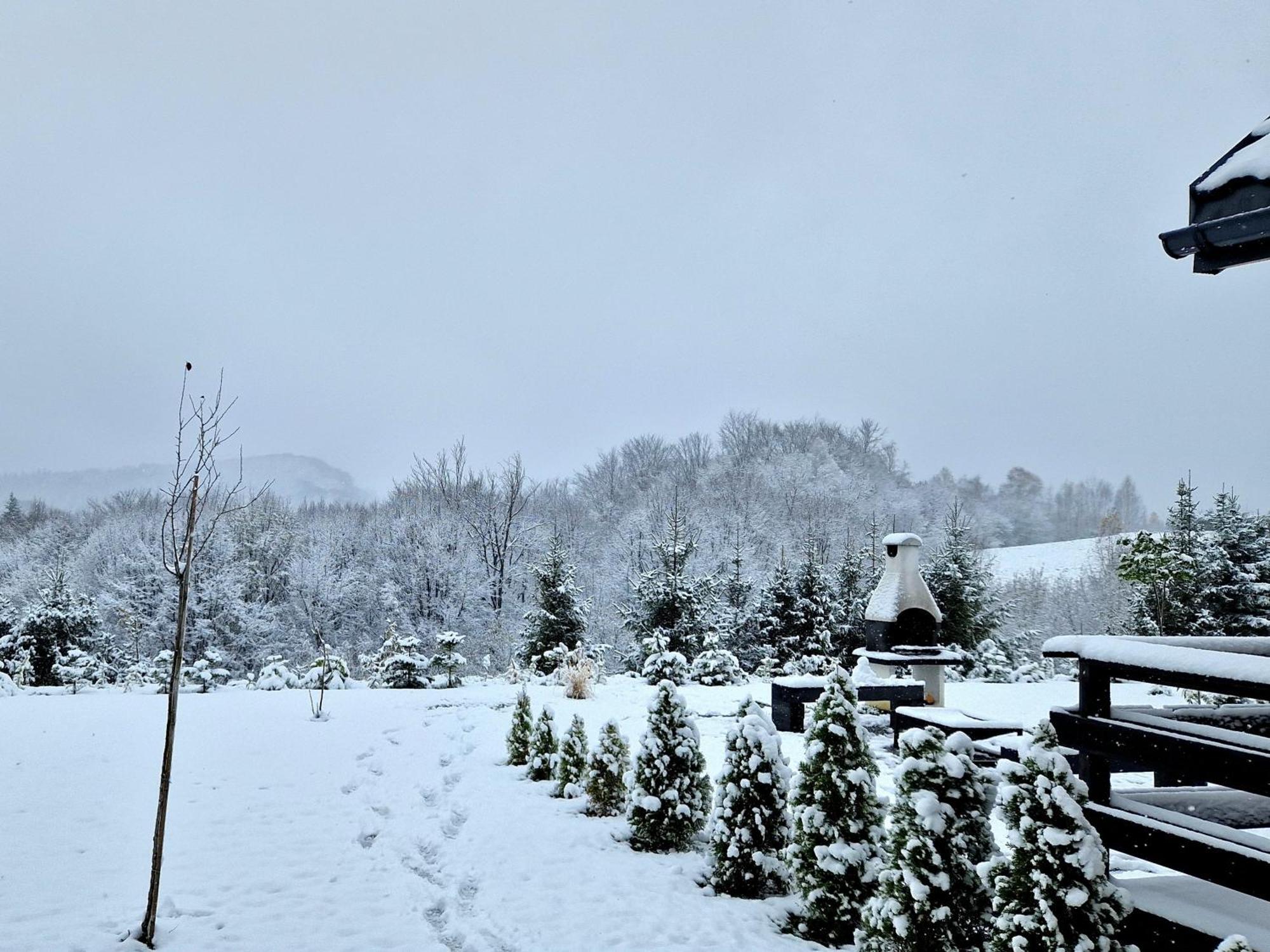 Bieszczadzka Pauza Villa Polańczyk Esterno foto