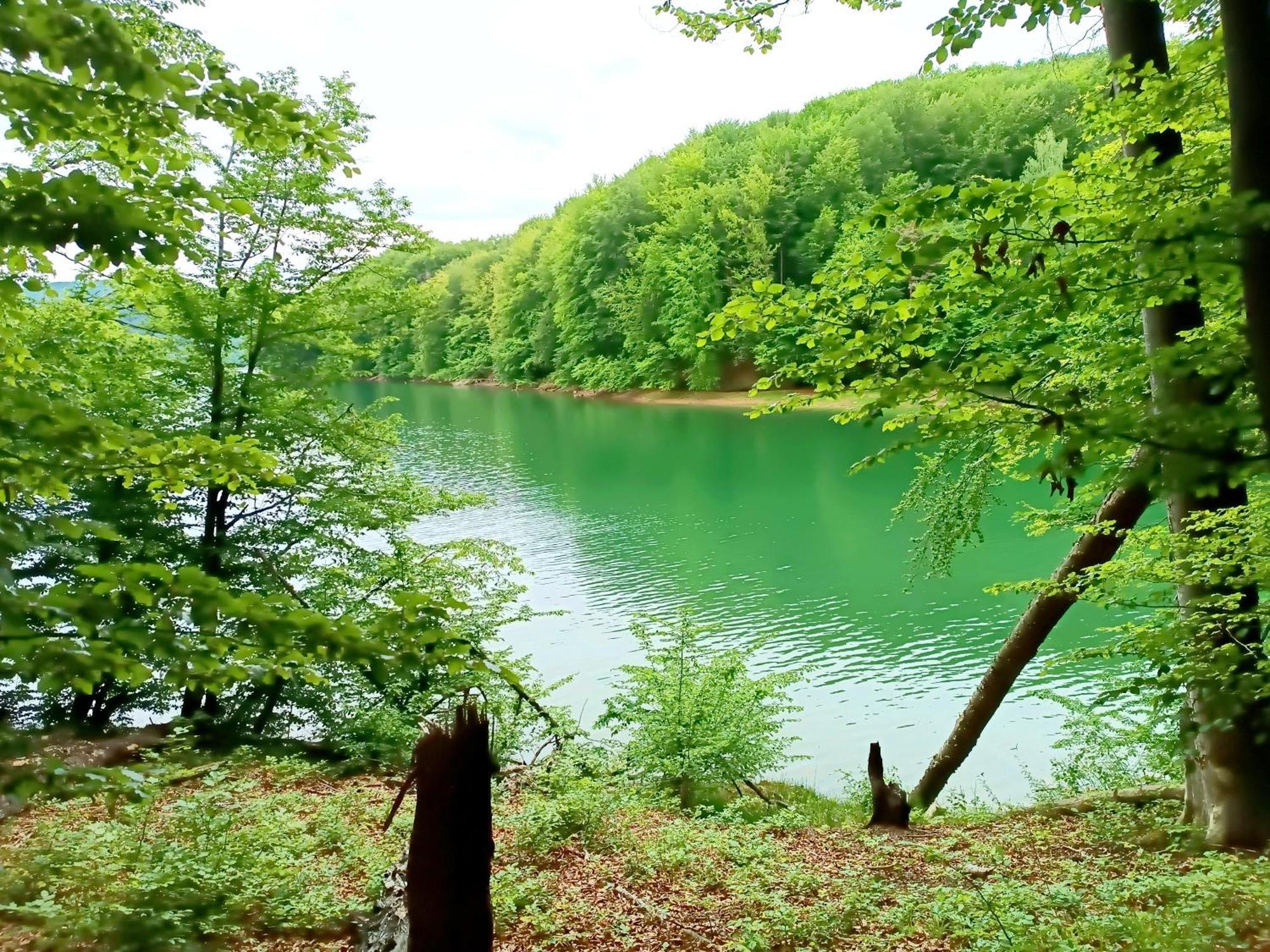 Bieszczadzka Pauza Villa Polańczyk Esterno foto